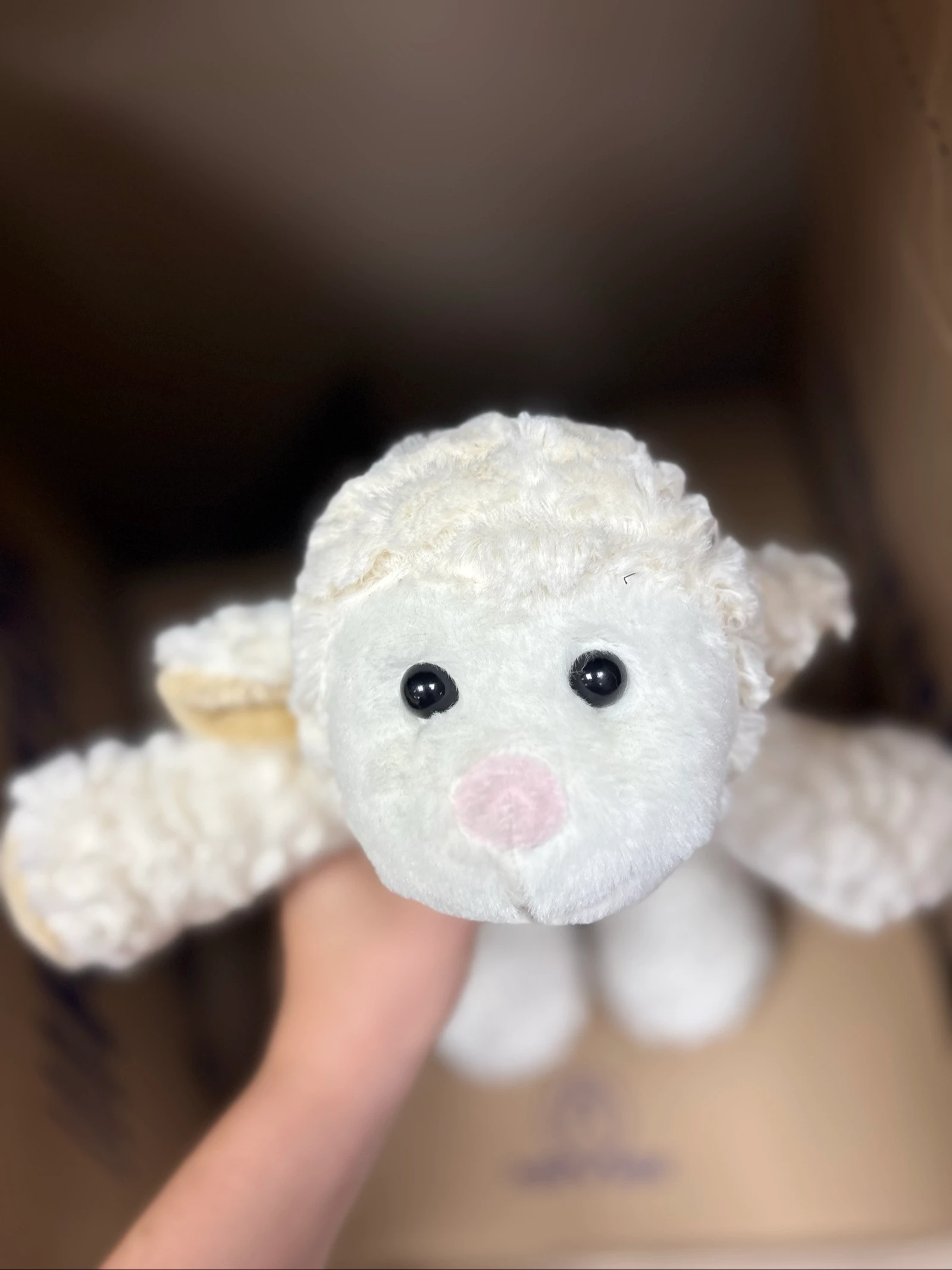 Doudou – photo 5